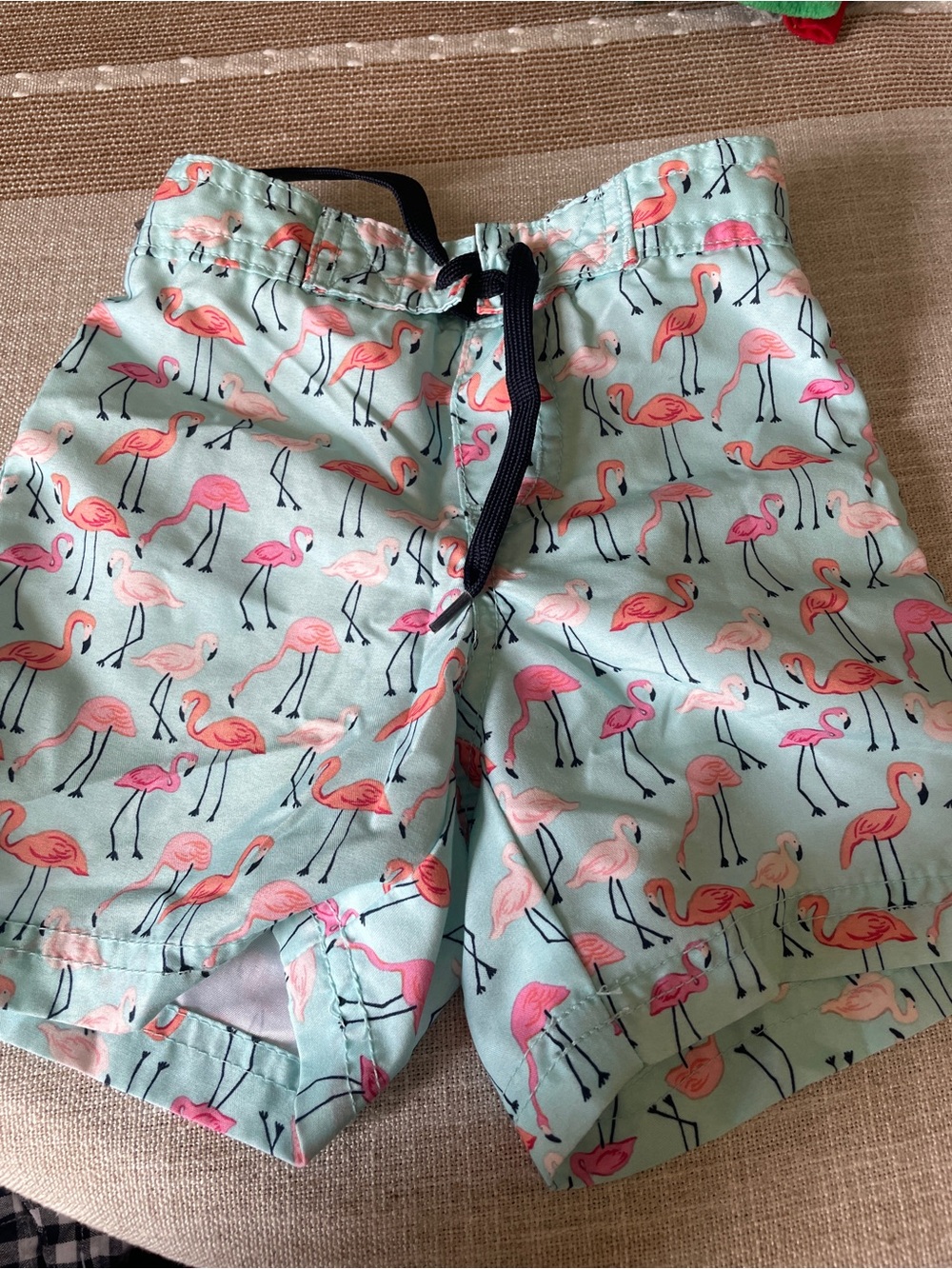 Janie and Jack Flamingo Print Swim Shorts - Mint Pink 6-12 months